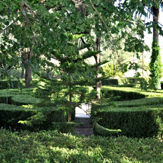 jardim de Buxo - co╠üpia